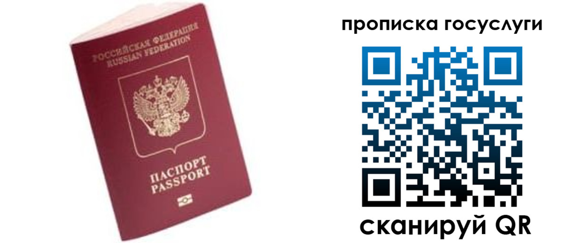 прописка в Порхове